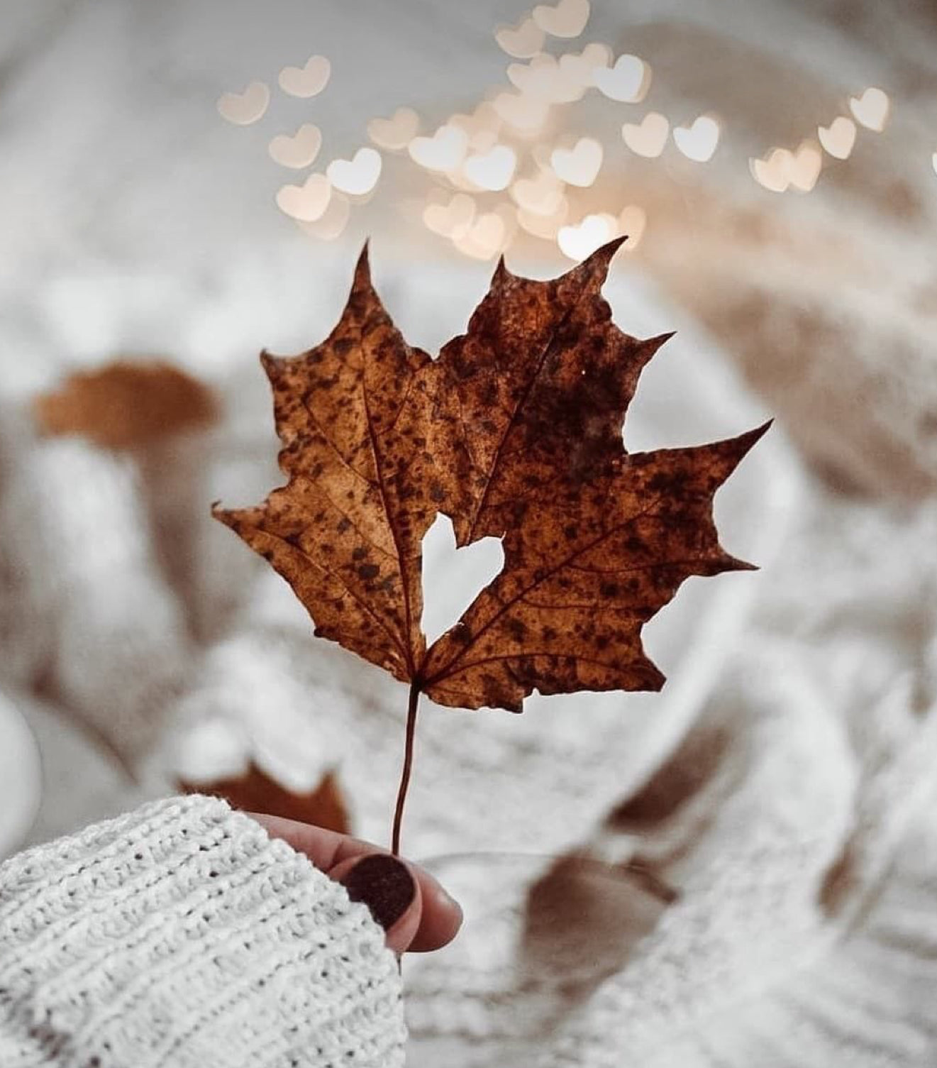 Warming cashmere wax melt