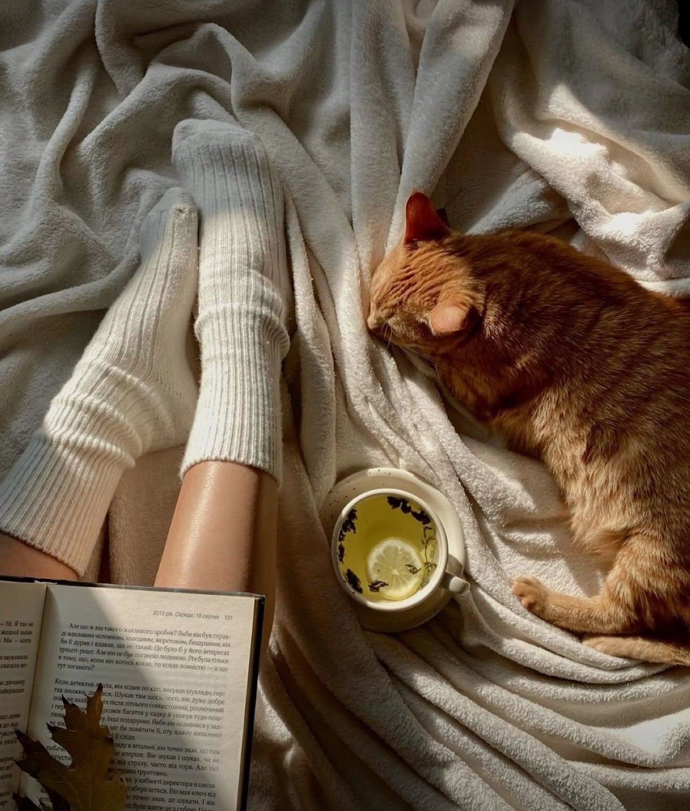 PJ day snapbar wax melt