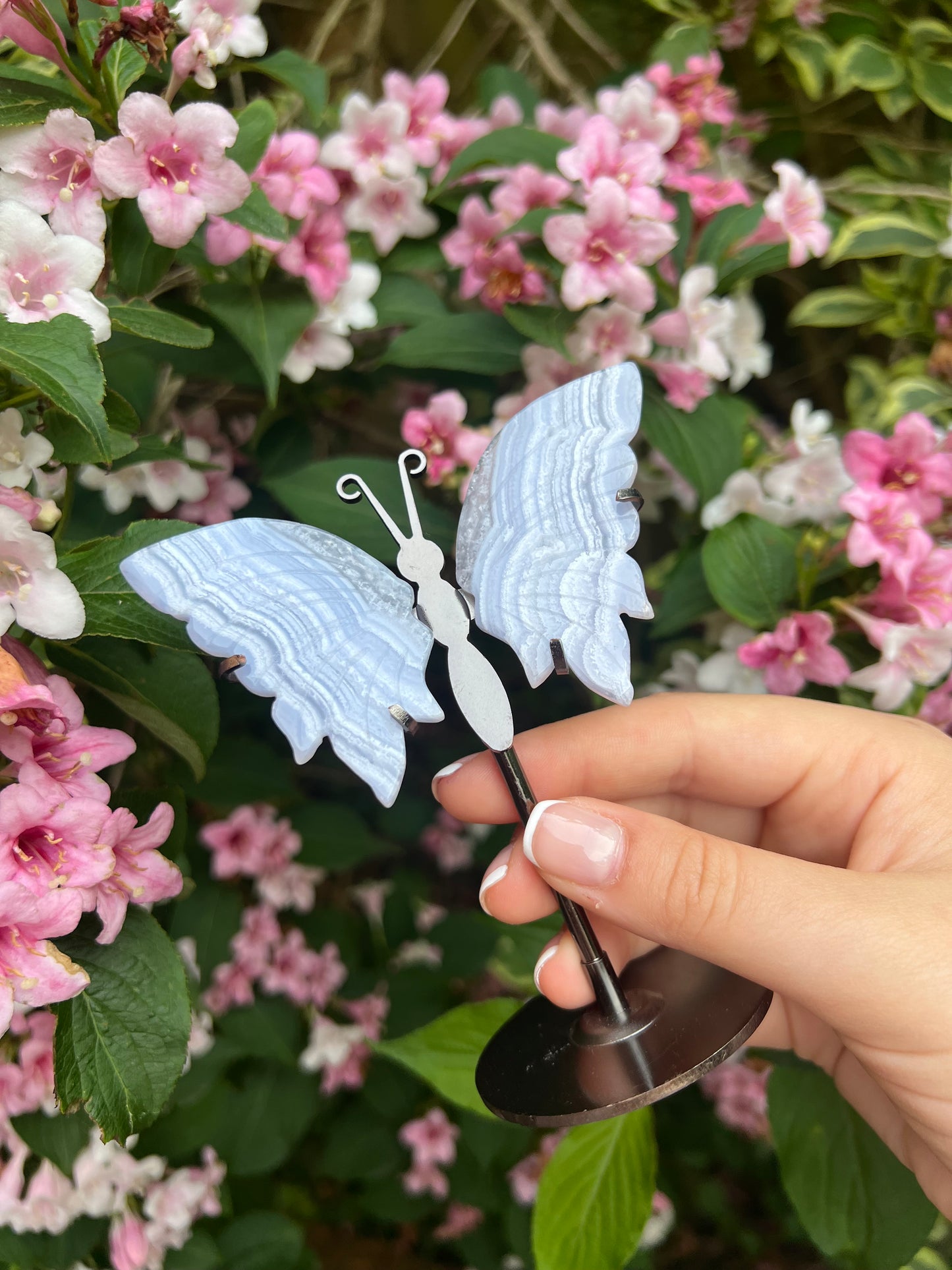 Blue lace agate butterfly wings on stand #1