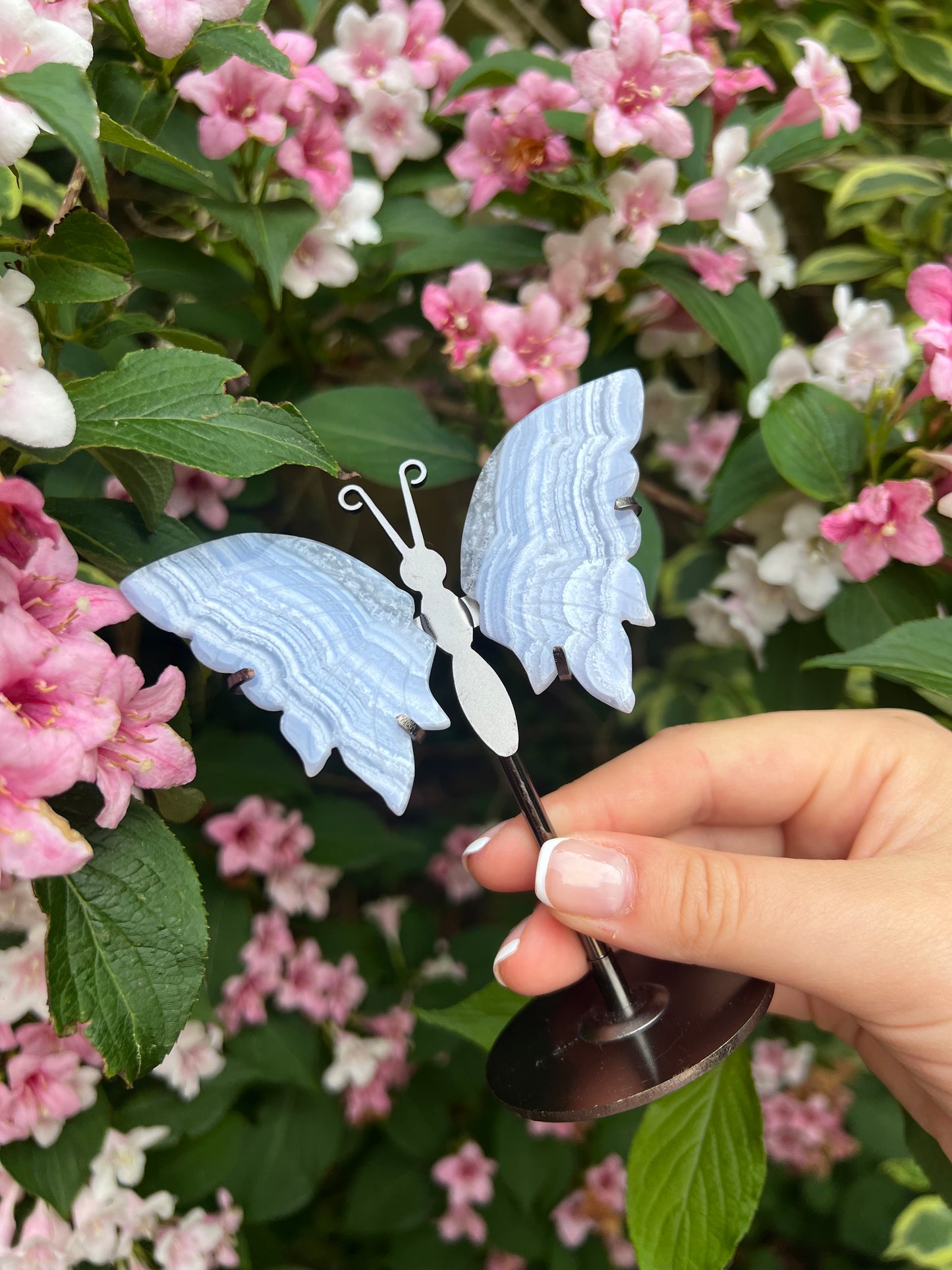 Blue lace agate butterfly wings on stand #1