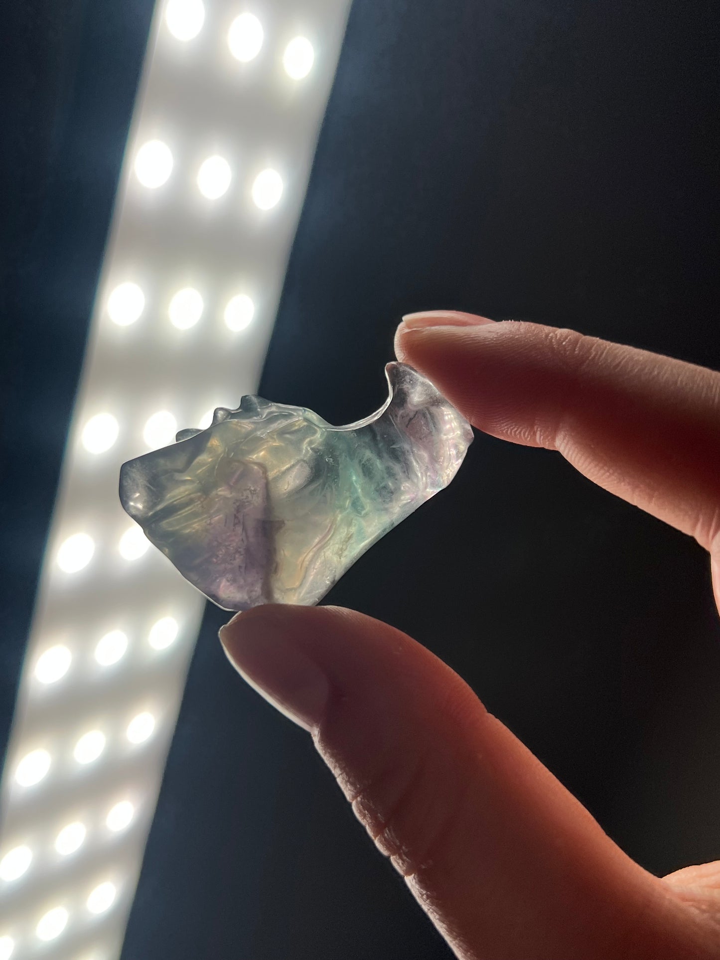 Fluorite dragon head carving c