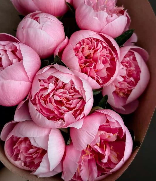 Peony & Raspberry Blush wax melt