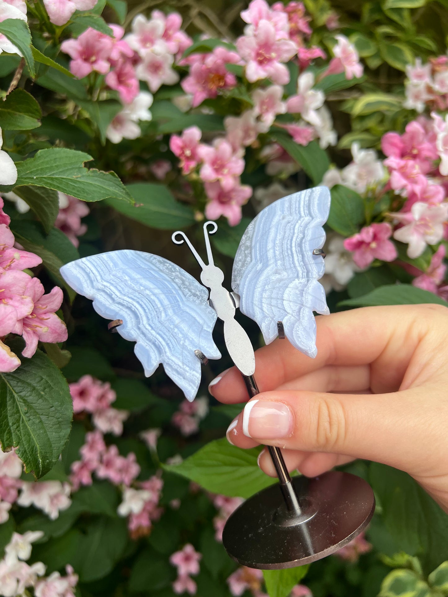 Blue lace agate butterfly wings on stand #1