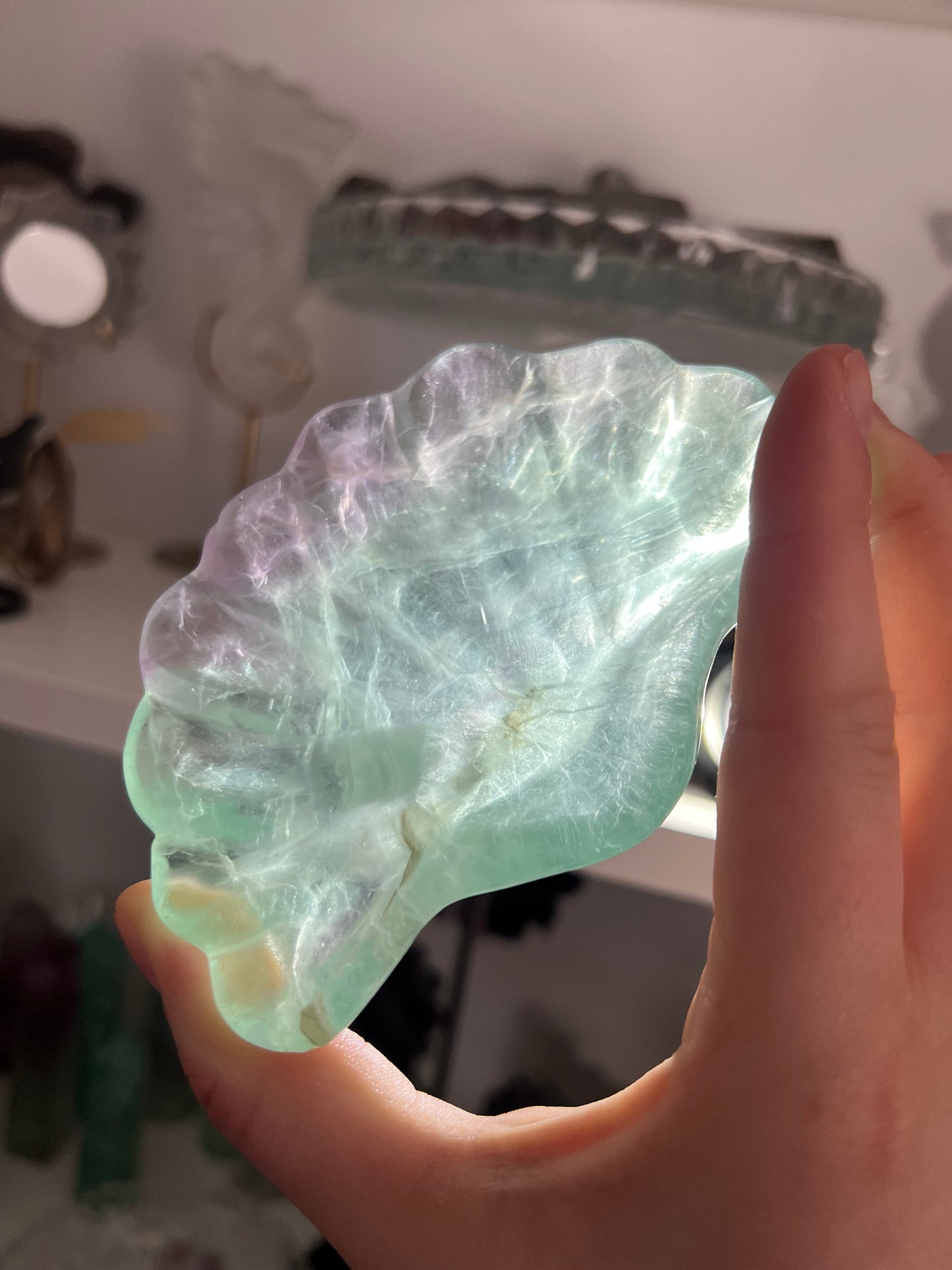 Fluorite shell dish