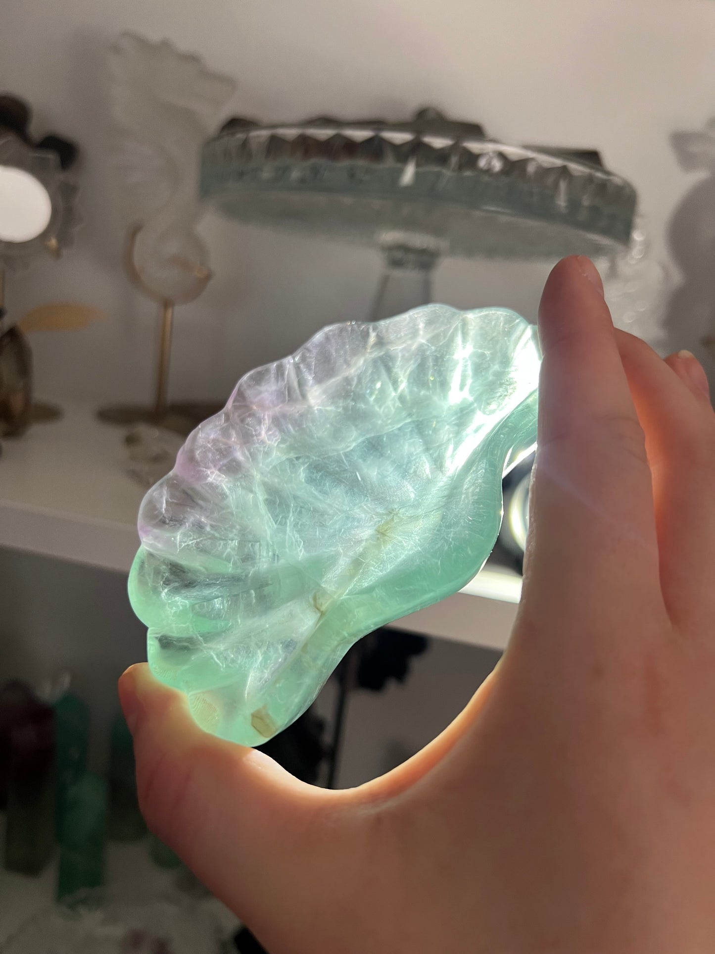 Fluorite shell dish