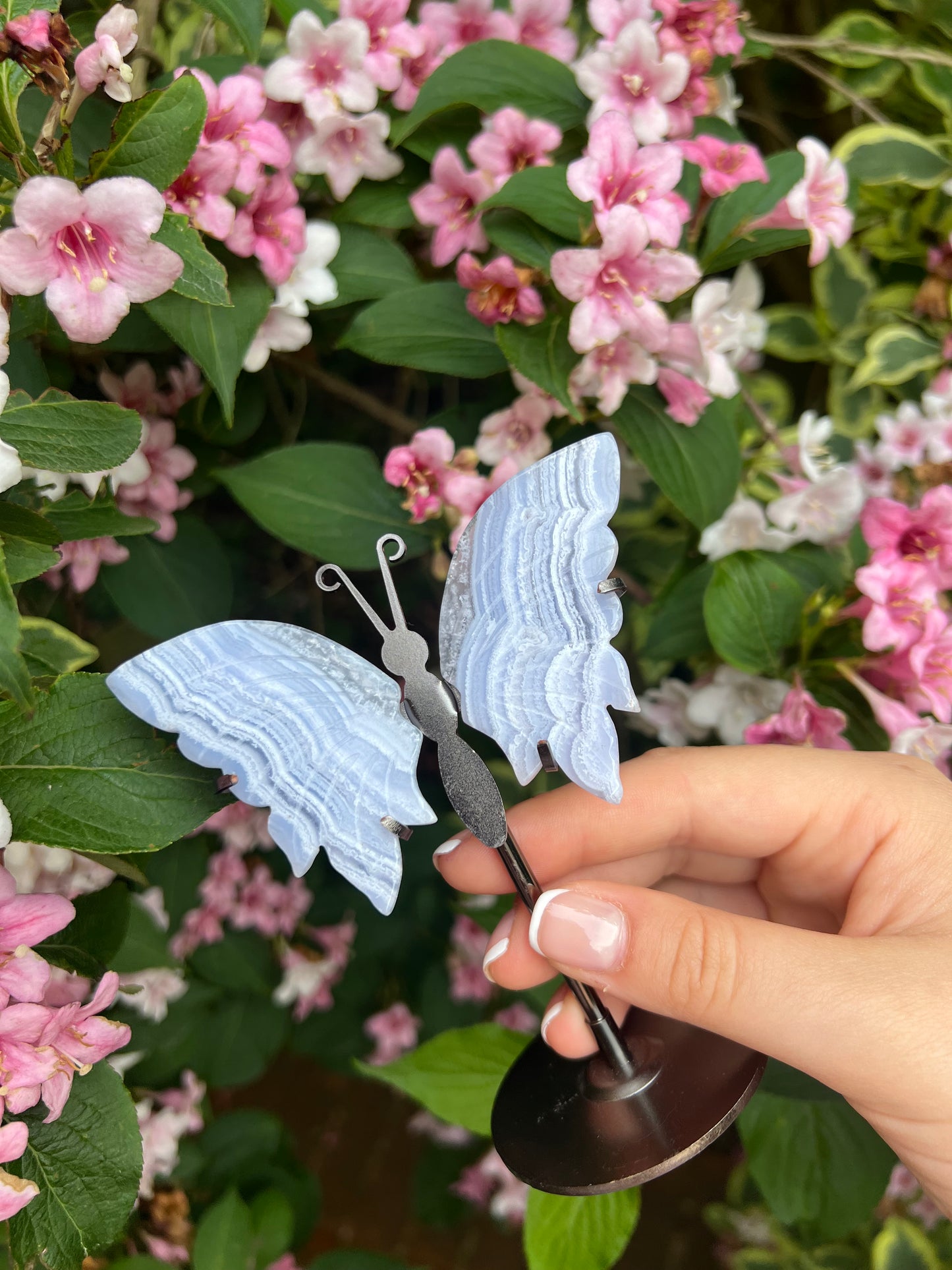 Blue lace agate butterfly wings on stand #1