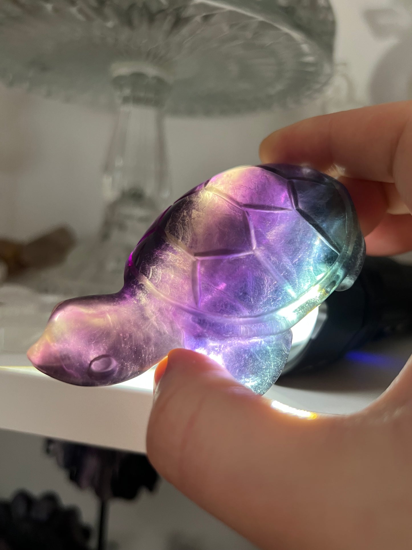 Fluorite turtle carving with slight small chip on foot (not noticeable)