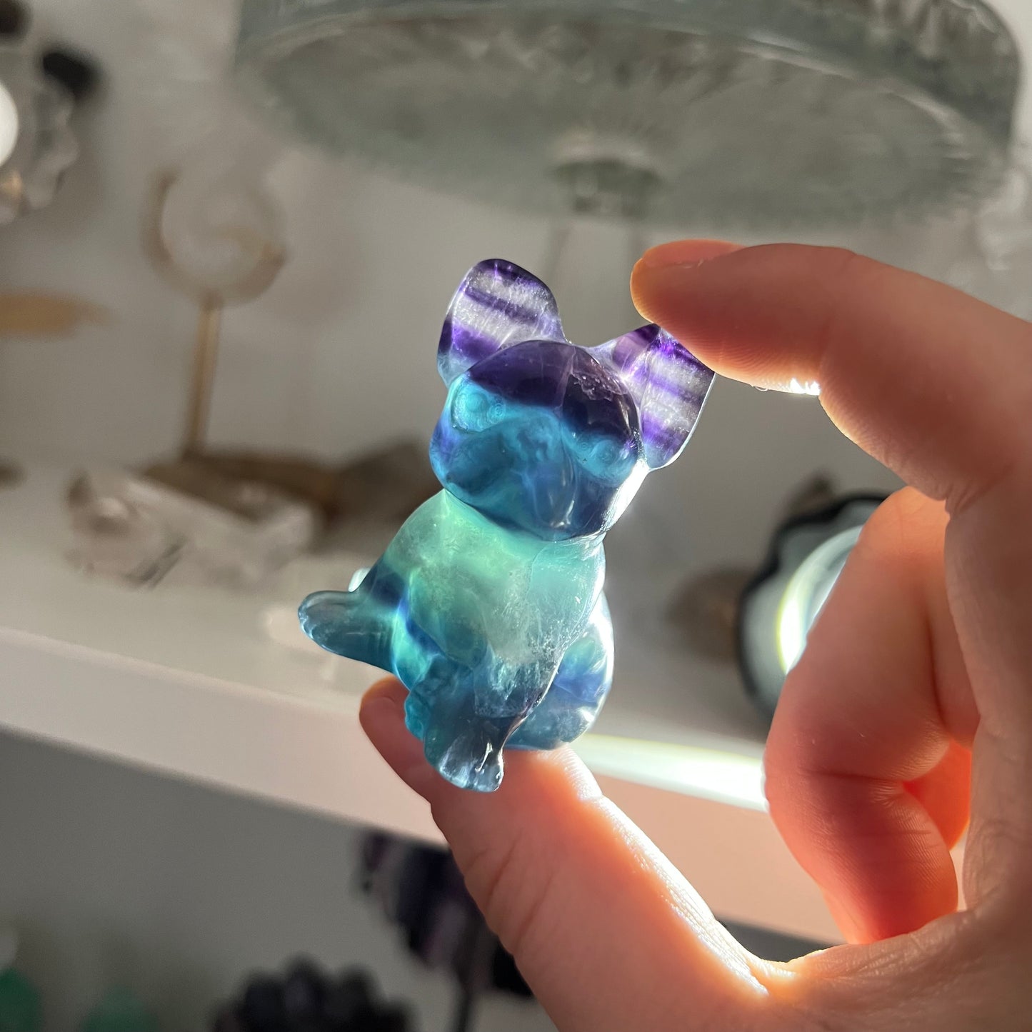 Fluorite French bulldog carving #A