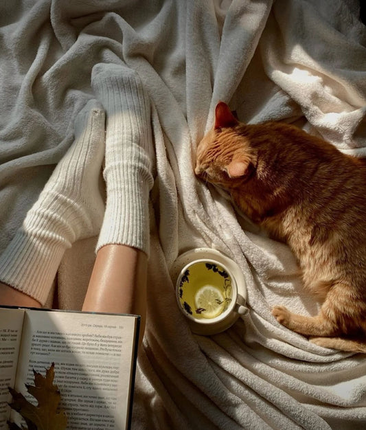 PJ day snapbar wax melt