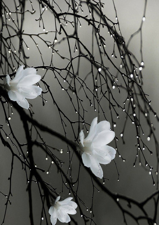 Silver Sandalwood & Musk wax melt