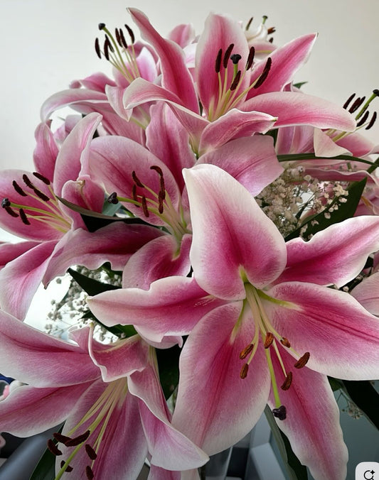 Strawberry & lily wax melt